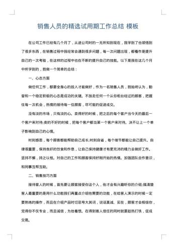 销售人员的精选试用期工作总结