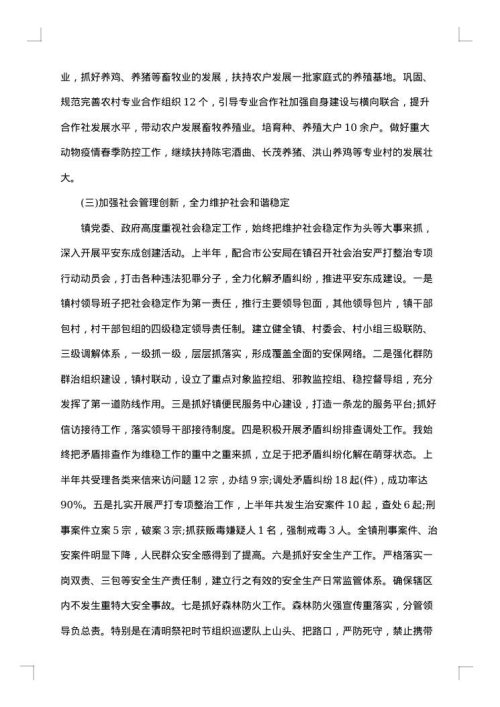 2025年乡镇上半年工作总结
