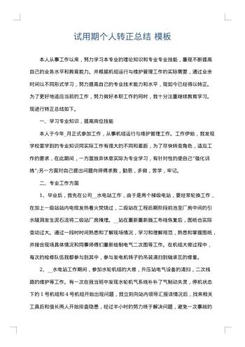 试用期个人转正总结