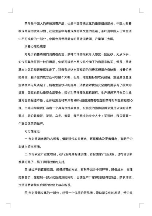 策划计划书