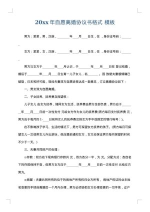 2025年自愿离婚协议书格式