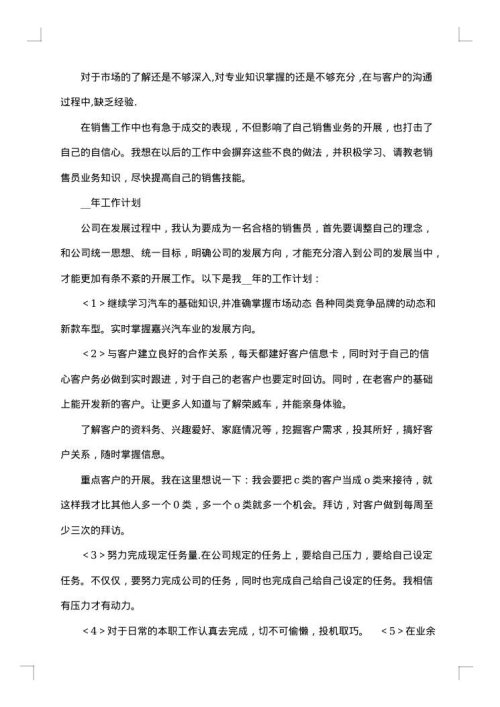 2025年汽车销售年度总结报告