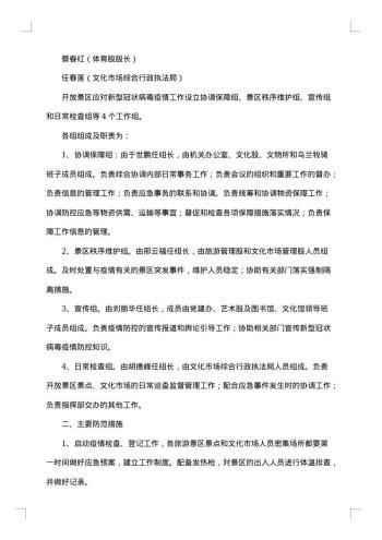 春节景区应急预案