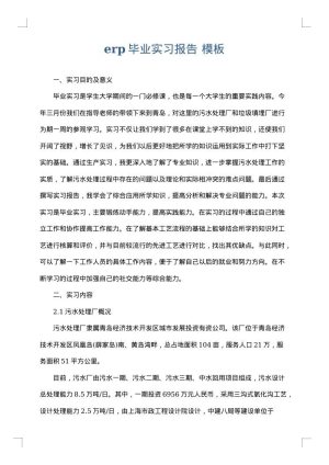 erp毕业实习报告