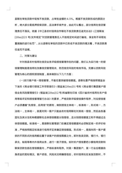 授信调查报告