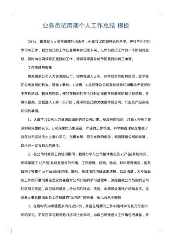 业务员试用期个人工作总结