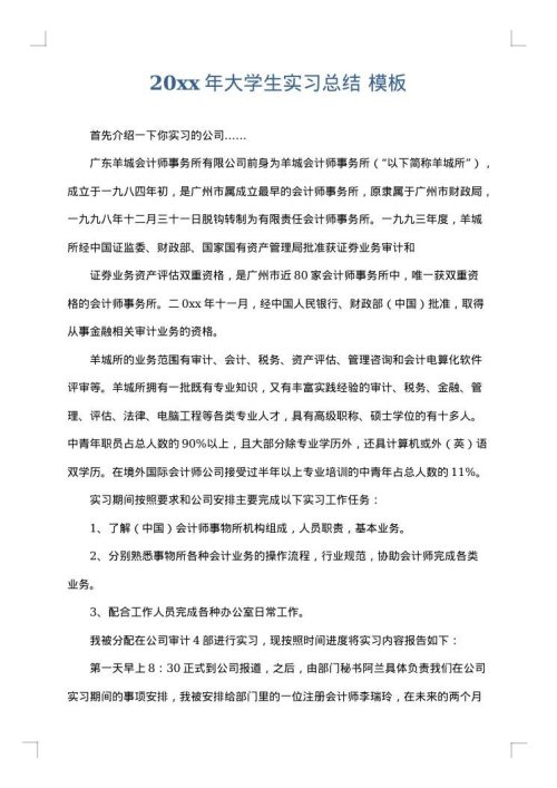 2025年大学生实习总结