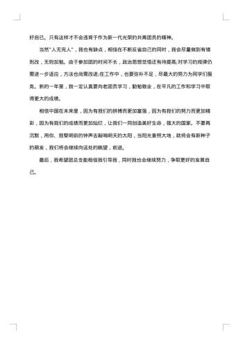 团员年底总结