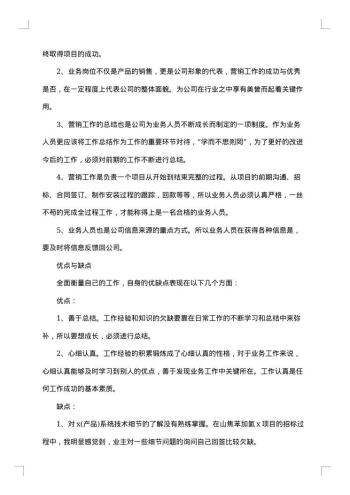 业务员试用期个人工作总结