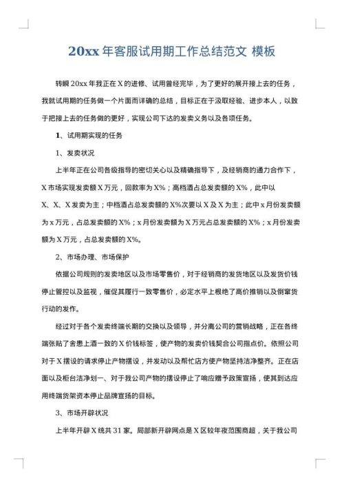 2025年客服试用期工作总结范文