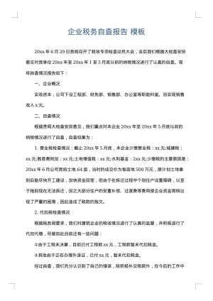 企业税务自查报告