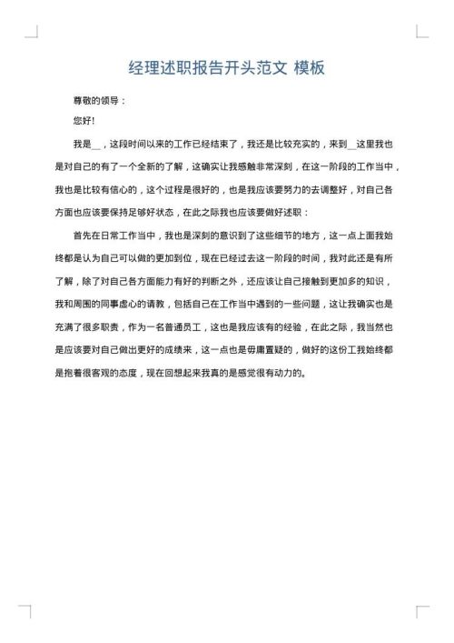 经理述职报告开头范文