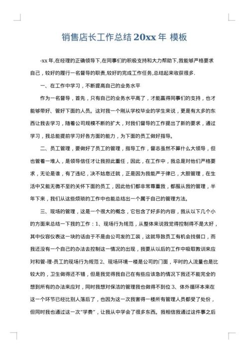 销售店长工作总结2025年
