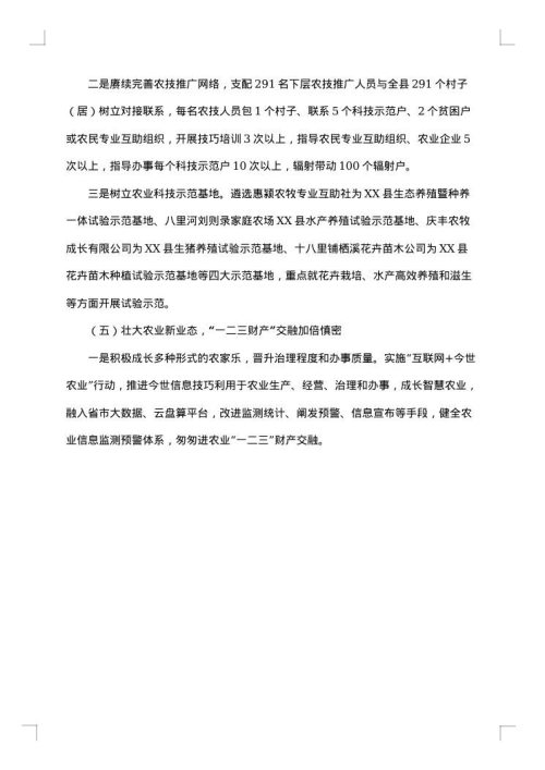 2025年会工作总结