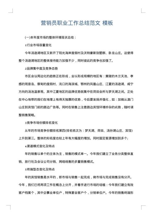 营销员职业工作总结范文