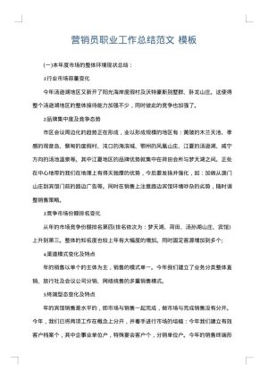 营销员职业工作总结范文
