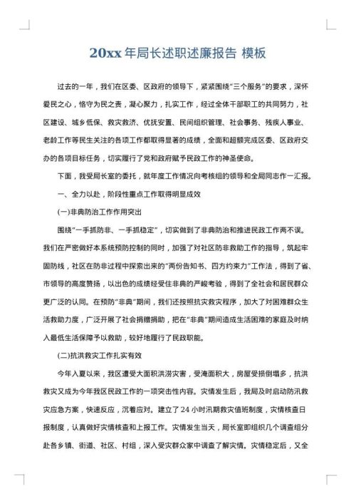 2025年局长述职述廉报告