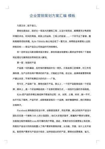企业营销策划方案汇编