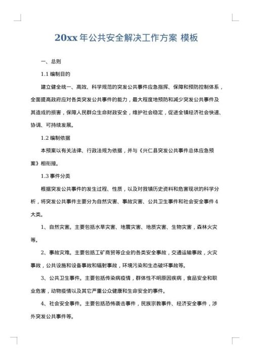 2025年公共安全解决工作方案