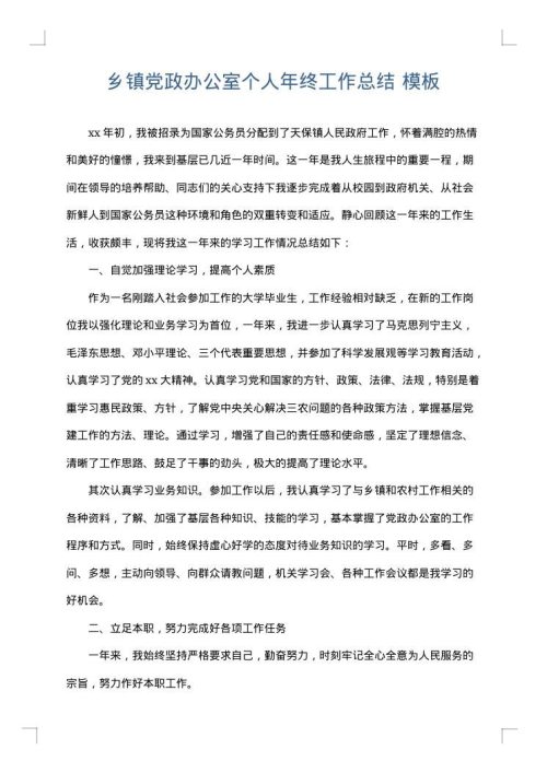 乡镇党政办公室个人年终工作总结
