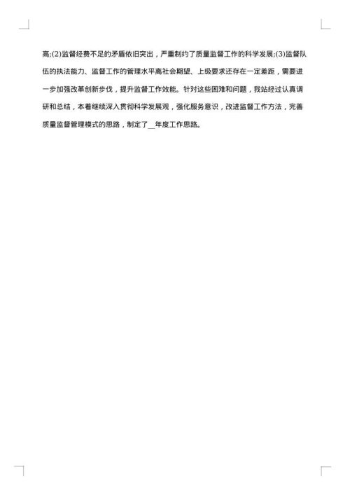 2025年质量工作总结