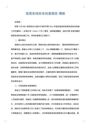 信息系统安全自查报告