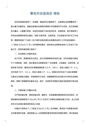 事务所自查报告