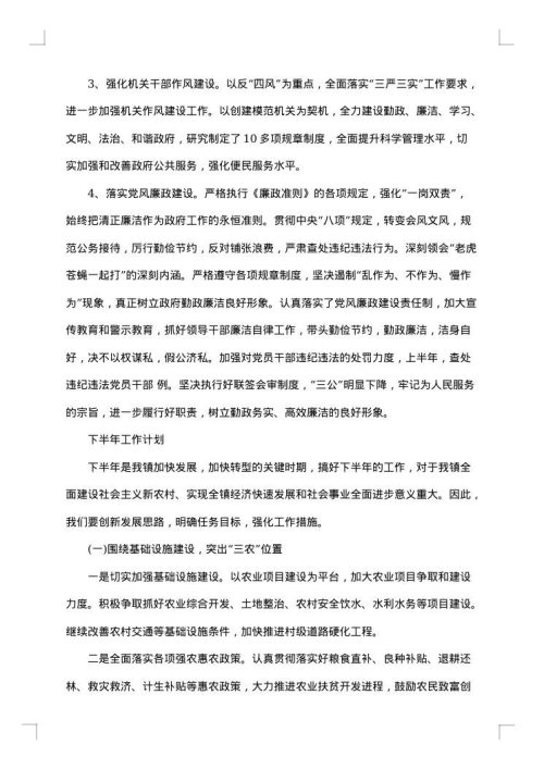 乡镇政府下半年工作总结