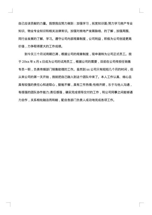 销售试用期总结