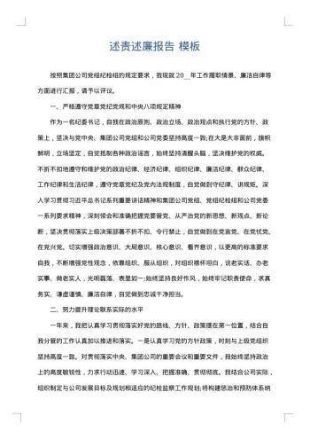 述责述廉报告