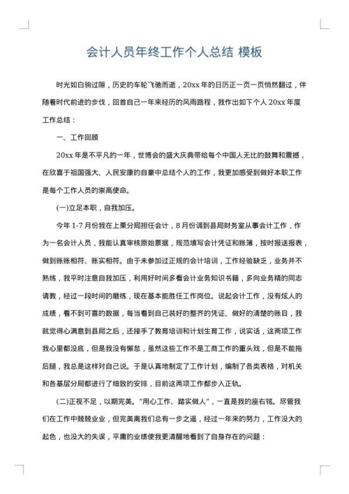 会计人员年终工作个人总结