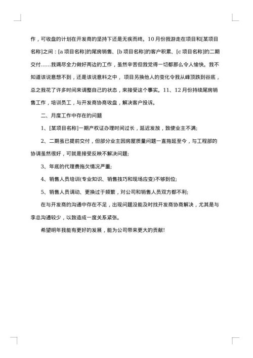 2025年房地产销售11月份工作总结