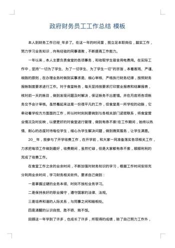 政府财务员工工作总结