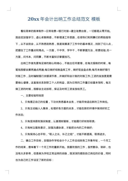 2025年会计出纳工作总结范文