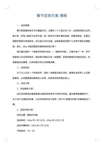 春节促销方案