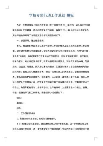 学校专项行动工作总结