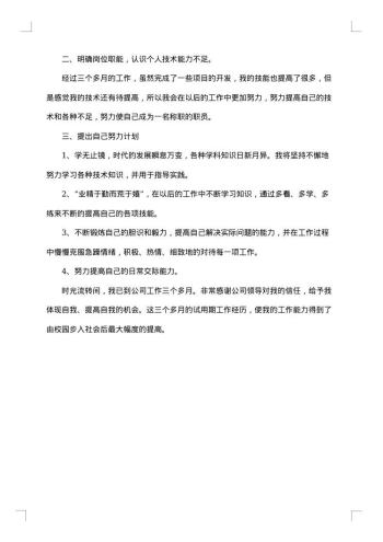 程序员试用期转正个人工作总结