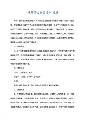 行风评议自查报告