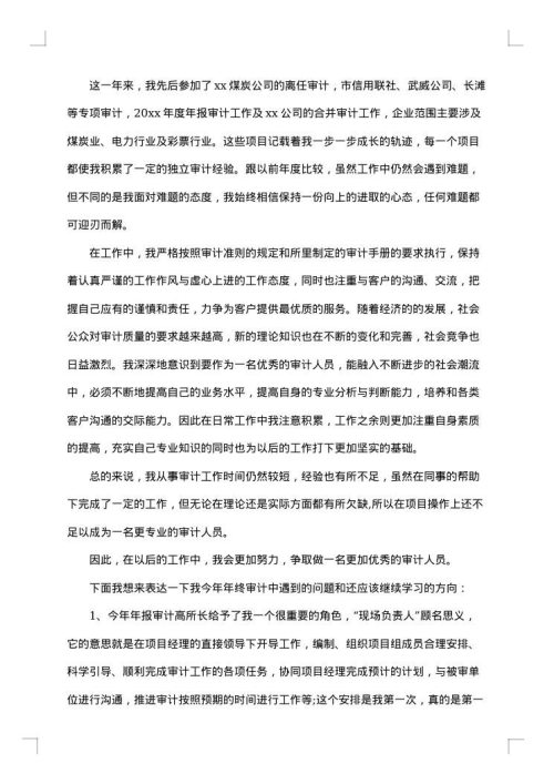公司财务审计年终工作总结
