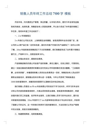 销售人员年终工作总结700字