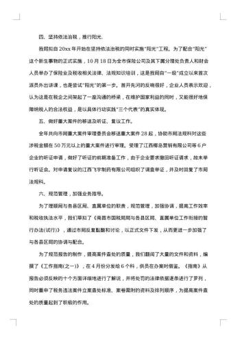 税务个人一年工作总结