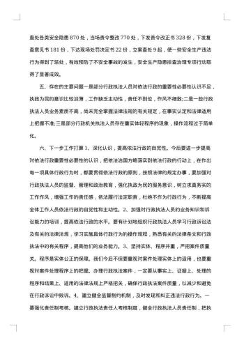城管局依法行政工作总结