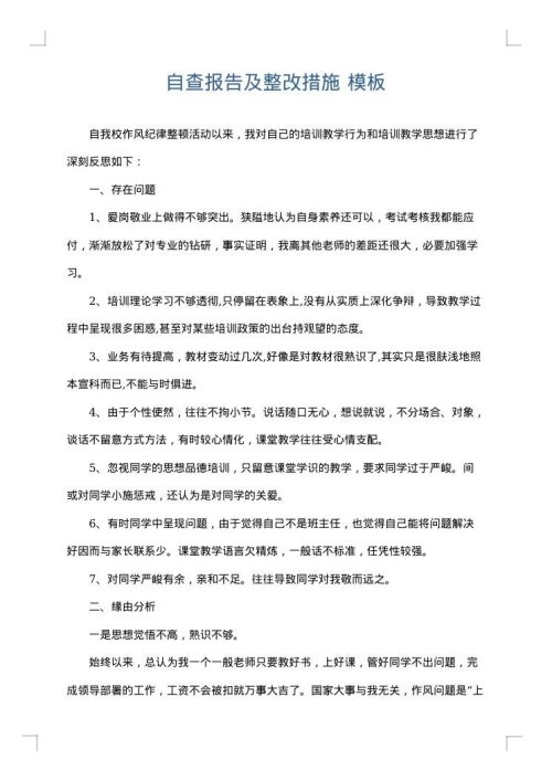 自查报告及整改措施