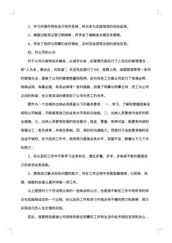 公司出纳试用期个人工作总结