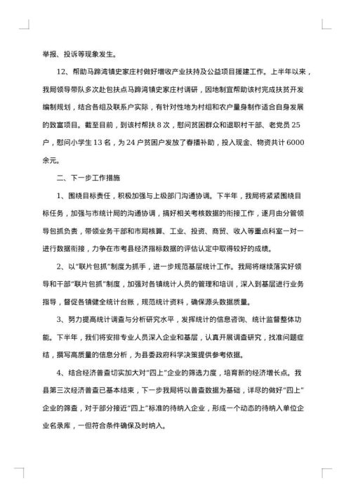 统计局自查报告
