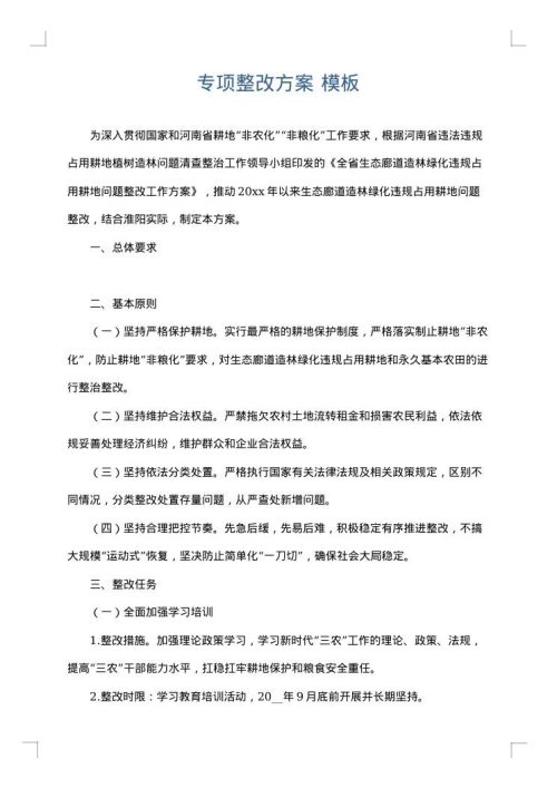 专项整改方案