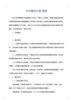 专项整改方案