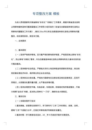 专项整改方案