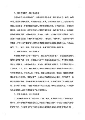 食品安全监管年终总结个人