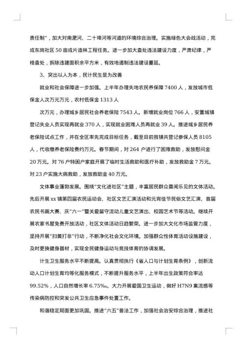 政府上半年工作总结